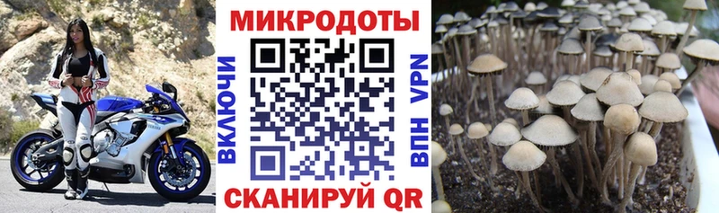 Галлюциногенные грибы MAGIC MUSHROOMS  Уссурийск 